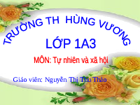 Giáo án điện tử Tự nhiên và xã hội 1 bài 7 Chân trời sáng tạo : Hoạt động ở trường em