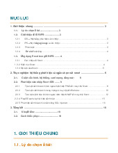 Kỹ thuật phát triển và ngăn chặn IDS và IPS - Môn quản trị học - Đại Học Kinh Tế - Đại học Đà Nẵng