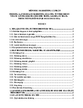 Bài tập nhóm Kế hoạch marketing sản phẩm Chocopie 2023 môn Marketing căn bản | Trường Đại học Thủy Lợi