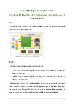 Giải KHTN 8 Bài 41: Hệ sinh thái | Cánh diều