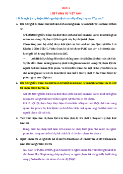 Bài tập ôn tập môn Luật Hình sự lý thuyết và nhận định đúng sai có đáp án