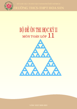 Bộ đề ôn thi học kỳ 2 môn Toán lớp 11
