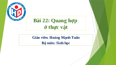 Giáo án điện tử Khoa học tự nhiên 7 bài 22 Kết nối tri thức : Quang hợp ở thực vật
