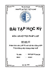 Phân Tích Yếu Tố Xã Hội Trong Xây Dựng Pháp Luật | Môn Xã hội học pháp luật - Trường Đại học Luật Hà Nội