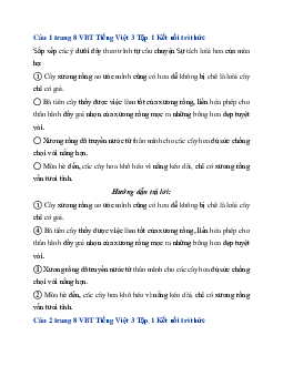 Giải VBT Tiếng Việt 3 trang 8, 9 Bài 3: Cánh rừng trong nắng | Kết nối tri thức