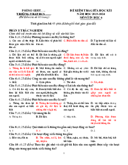 Đề thi giữa học kì 1 môn Tin học 6 năm 2023 - 2024 sách Cánh diều | Đề 5