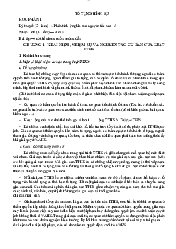 Tổng hợp lý thuyết môn Luật Tố tụng hình sự theo từng chương