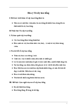 Tả cây hoa hồng mà em yêu thích | Tập làm văn lớp 5