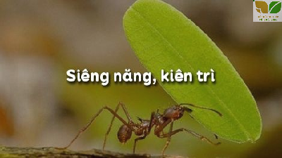 Giáo án điện tử GDCD 6 Bài 3 Cánh diều: Siêng năng, kiên trì