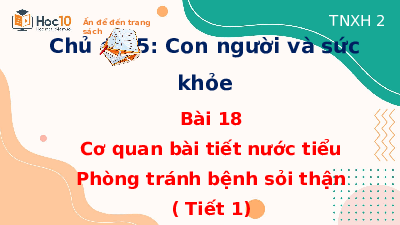 Giáo án điện tử Tự nhiên và xã hội 2 Bài 18 Cánh diều: Cơ quan bài tiết nước tiểu: Phòng tránh bệnh sỏi thận
