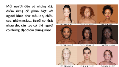 Giáo án điện tử Khoa học tự nhiên 8 Bài 30 Kết nối tri thức: Khái quát về cơ thể người