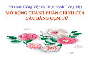 Giáo án điện tử Ngữ văn 6 Chân trời sáng tạo Bài 4 - Đọc: Thực hành tiếng Việt