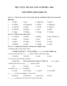 Đề thi thử học sinh giỏi lớp 6 môn tiếng Anh năm 2019 - 2020 số 10