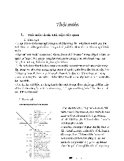 Thôi miên | Giải phẫu và sinh lý hoạt động thần kinh cấp cao | Đại học Khoa học Xã hội và Nhân văn, Đại học Quốc gia Thành phố HCM
