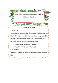 Bài tập cuối tuần Tiếng Việt lớp 4 Chân trời sáng tạo Tuần 20