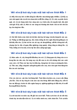 Sử dụng biện pháp nhân hóa để viết về một loài cây hoặc một loài vật em thích | Tập làm văn 4