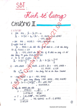 Giải sách bài tập Kinh tế lượng