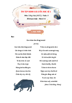 Phiếu bài tập cuối tuần Tiếng Việt lớp 3 Tuần 9 (Nâng cao) | Kết nối tri thức