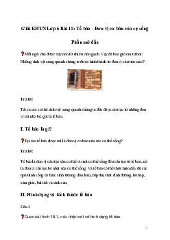 Giải KHTN Lớp 6 Bài 18: Tế bào - Đơn vị cơ bản của sự sống | Kết nối tri thức