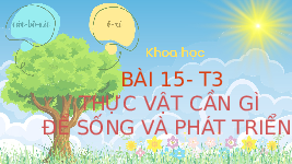 Giáo án điện tử Khoa học 4 Bài 15 Chân trời sáng tạo: Thực vật cần gì để sống và phát triển
