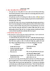 Bản Chất của Ý Thức: Những Quan Niệm và Phân Tích Chi Tiết