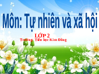 Giáo án điện tử Tự nhiên và Xã hội 2 Bài 26 Kết nối tri thức: Chăm sóc, bảo vệ cơ quan bài tiết nước tiểu