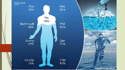 Giáo án điện tử Khoa học tự nhiên 8 Bài 35 Kết nối tri thức: Hệ bài tiết ở người
