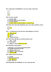 Trắc nghiệm chương 6 marketing căn bản | Đại học Kinh tế kỹ thuật công nghiệp