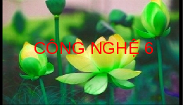 Giáo án điện tử Công nghệ 6 Bài 12 Kết nối tri thức: Nồi cơm điện