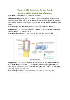 Giải Sinh học 11 Bài 8: Dinh dưỡng và tiêu hóa ở động vật | Chân trời sáng tạo