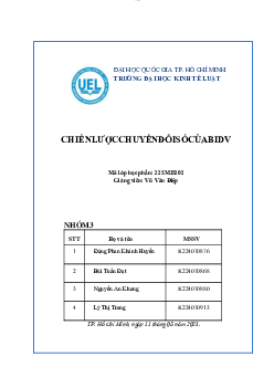 Tiểu luận: "chiến lược chuyển đổi số của BIDV"