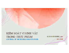 Bài giảng Chất kháng vi sinh vật hoá học môn Vi sinh vật thực phẩm | Đại học Bách Khoa Hà Nội