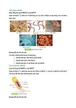 Giải Khoa học tự nhiên lớp 6 - bài 27: Vi khuẩn | Kết nối tri thức