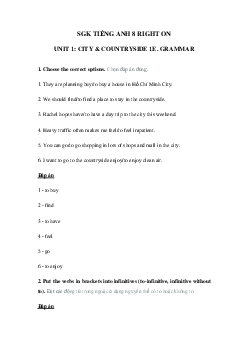 Tiếng Anh 8 Unit 1 1e Grammar trang 16 17