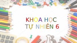 Giáo án điện tử Khoa học tự nhiên 6 bài 6 Kết nối tri thức : Đo khối lượng