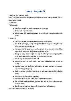 Tả cây chuối vườn nhà em đạt điểm 10, 9 | Tập làm văn lớp 4