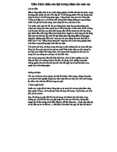 Giáo trình Chăn Rau Đại Cương: Kinh Nghiệm và Phương Pháp Cho Newbie