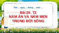 Giáo án điện tử Khoa học 4 Bài 20 Chân trời sáng tạo: Nấm ăn và nấm men trong đời sống