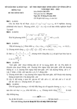 Đề học sinh giỏi tỉnh Toán 12 chuyên năm 2021 – 2022 sở GD&ĐT Đồng Nai
