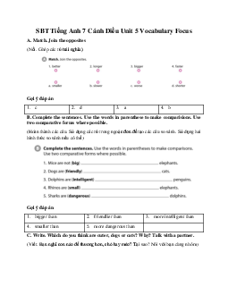 SBT Tiếng Anh 7 Cánh Diều Unit 5 Vocabulary Focus
