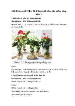 Giải Công nghệ 10 Bài 21: Công nghệ trồng cây không dùng đất CD