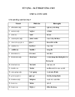 Từ vựng - Ngữ pháp Tiếng Anh lớp 9 Unit 2 City Life