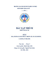 Hoạt động đầu tư phát triển của Thành phố Hải Phòng giai đoạn 2016-2022 | Môn Kinh tế đầu tư - Đại học Kinh Tế Quốc Dân