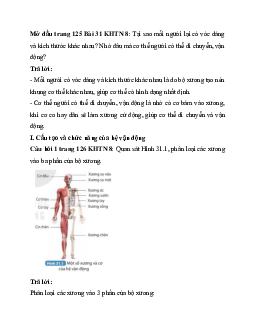 Giải Khoa học tự nhiên 8 bài 31: Hệ vận động ở người | Kết nối tri thức