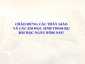 Giáo án điện tử Toán 6 Bài 22 Kết nối tri thức: Hình có tâm đối xứng (tiết 2)