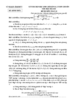 Đề học sinh giỏi Toán 10 chuyên năm 2022 – 2023 sở GD&ĐT Vĩnh Phúc