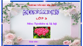 Giáo án điện tử TN&XH 3 Bài 28 Kết nối tri thức: Bề mặt Trái Đất