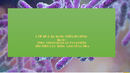 Giáo án điện tử Khoa học tự nhiên 6 bài 26 Chân trời sáng tạo : Thực hành quan sát vi khuẩn