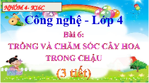 Giáo án điện tử Công Nghệ  4 KNTT - Bài 6 Kết Nối Tri Thức:  Trồng Và Chăm Sóc Cây Hoa Trong Chậu (3 Tiết).