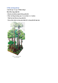 Giải SGK môn Địa lí 6 Bài 24 Rừng nhiệt đới | Kết nối tri thức